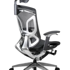 Эргономичное кресло GT Chair Dvary DV-10E GT-12