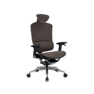 Эргономичное кресло GT Chair I-see SE-13D LP-02