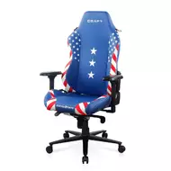 Геймерское кресло DXRacer CRA/D5000/BW