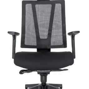 Эргономичное кресло Falto G1 (3 уровня поясницы, сетка, ткань, чёрный)