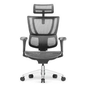 Эргономичное кресло Falto IOO Project (автоматическая регулировка жесткости качания, сетка, чёрный)