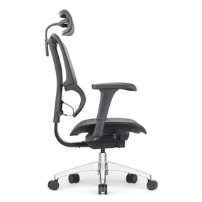 Эргономичное кресло Falto IOO Project (автоматическая регулировка жесткости качания, сетка, чёрный)