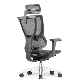 Эргономичное кресло Falto IOO Project (автоматическая регулировка жесткости качания, сетка, чёрный)