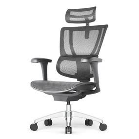 Эргономичное кресло Falto IOO Project (автоматическая регулировка жесткости качания, сетка, чёрный)