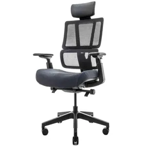 Эргономичное кресло Falto G2 Pro (5 позиций выдвижения поясницы, ткань, чёрный)