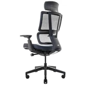 Эргономичное кресло Falto G2 Pro (5 позиций выдвижения поясницы, ткань, чёрный)