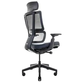 Эргономичное кресло Falto G2 Pro (5 позиций выдвижения поясницы, ткань, чёрный)