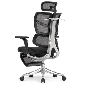 Анатомическое кресло Falto Fly 2 с подножкой (динамичный подголовник, подлокотники 6D (360), сетка, чёрный)