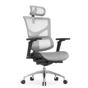 Эргономичное кресло Falto Sail Art 2 (подлокотники 6D (360), сетка, каркас чёрный, белый)