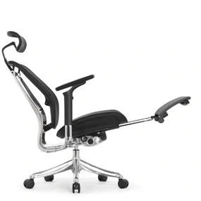 Эргономичное кресло Falto Spring 2 с подножкой (поясничный валик, подлокотники 6D (360), сетка, чёрный)
